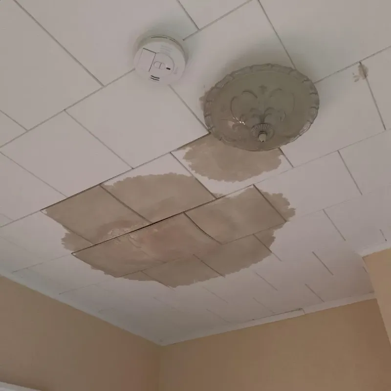 Ceiling Water Damage Repair in Delhi Hills, OH