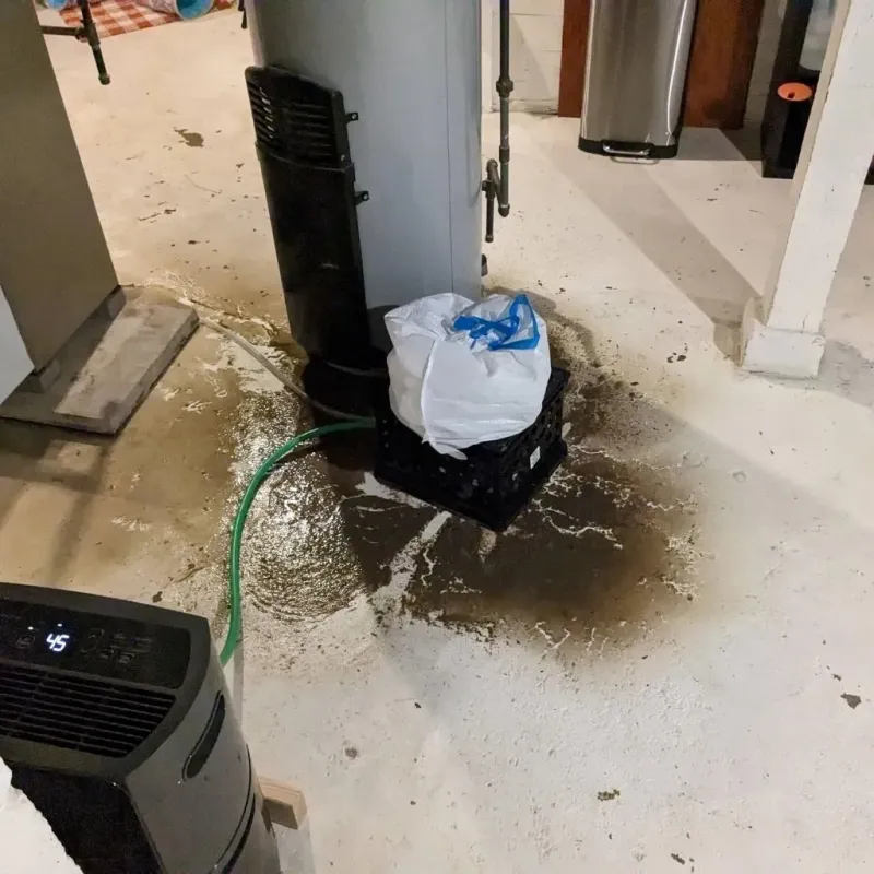 Sewage Backup Cleanup Service in Delhi Hills, OH